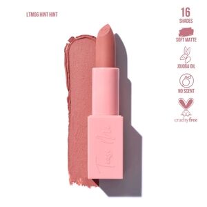 5/$50 Beauty Creations Tease Me Matte Lipstick In Hint-Hint